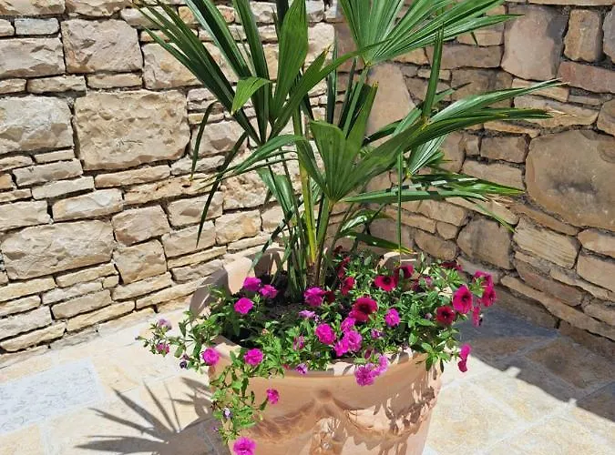 Danino Вилла Езера